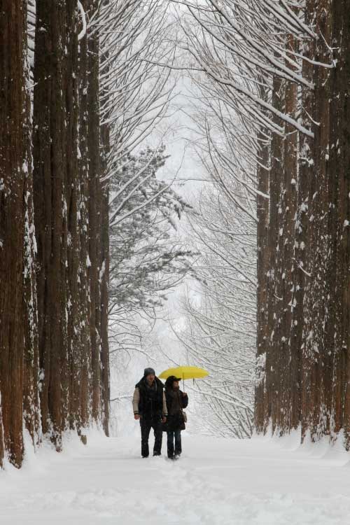 nami island