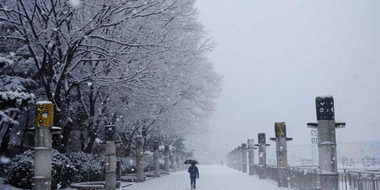 All the Best Tips for Traveling During Heavy Snow in South Korea  