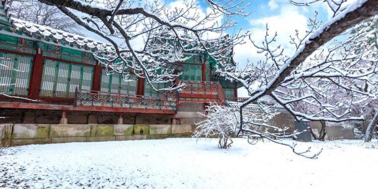 Celebrate South Korea Record-Breaking Snowfall at These Best Places in Seoul!  