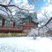 Celebrate South Korea Record-Breaking Snowfall at These Best Places in Seoul!