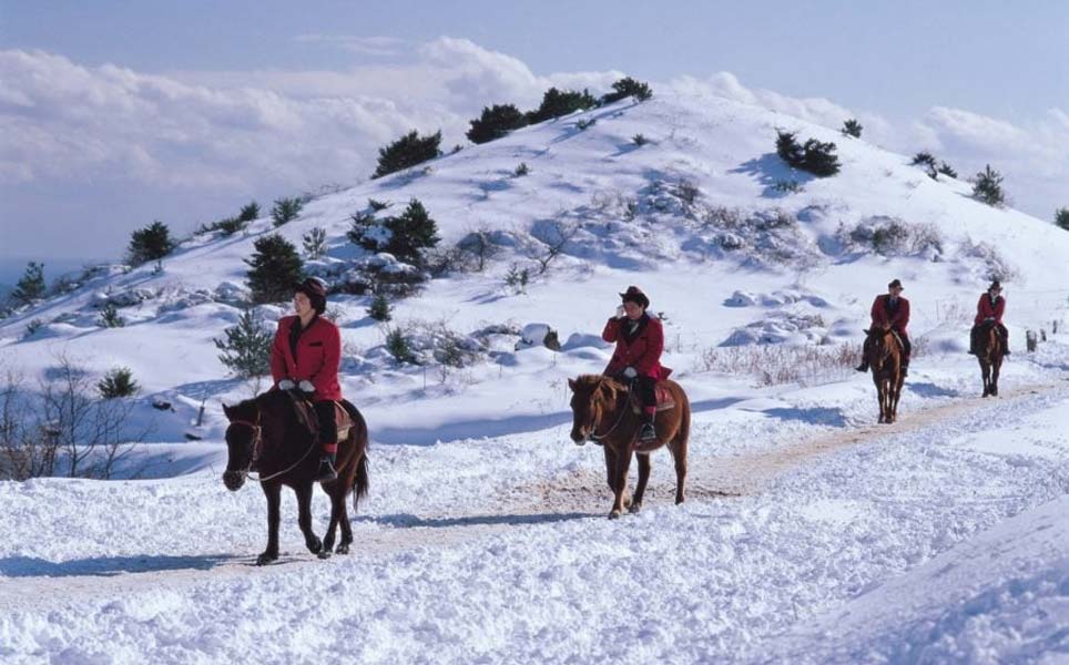 horseback riding