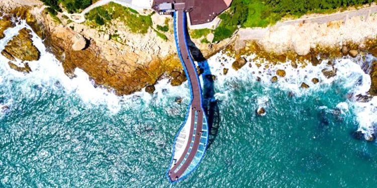 snake themed destinations korea