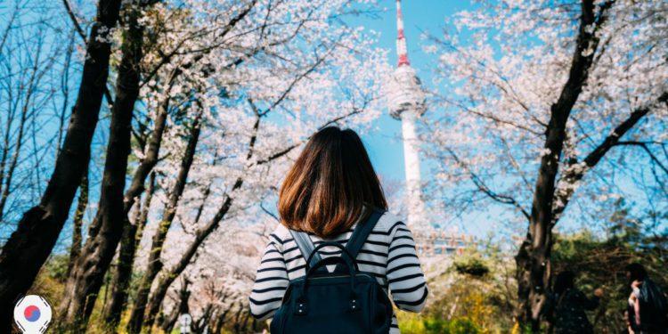 best solo travel destination seoul
