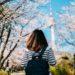 best solo travel destination seoul