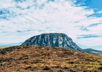 jeju nft tourist cards