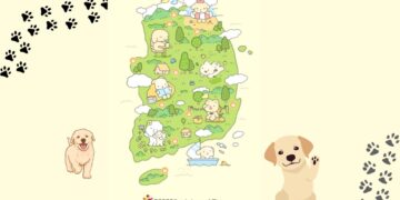 Dog-Friendly Travel Destinations korea