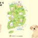 Dog-Friendly Travel Destinations korea