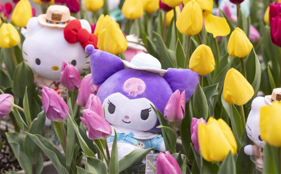 Everland Sanrio Flower Festival Korea 2025