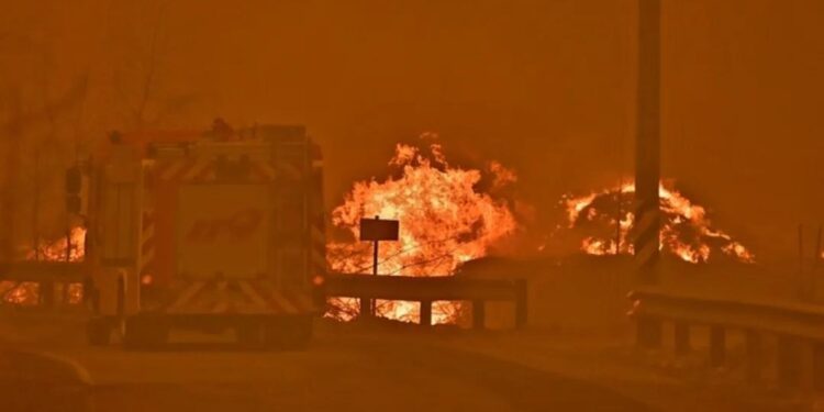 South Korea tourism wildfires