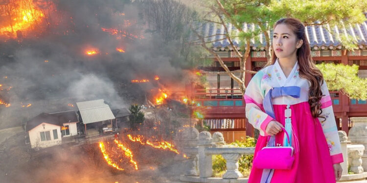 South Korea Travel Guide: Wildfire Safety Precaution Tips