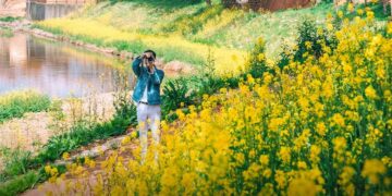 Suncheonman National Garden in Spring: Your Healing Escape in Bloom