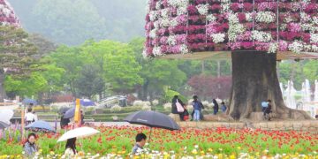 2025 Hampyeong Butterfly Festival: Your Healing Encounter with Spring