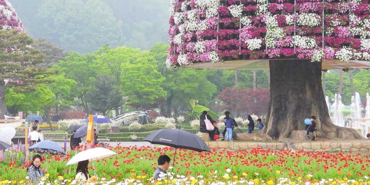 2025 Hampyeong Butterfly Festival: Your Healing Encounter with Spring