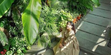 3 Unique Spots to Escape the City in Seoul: From Tropical Cafes to DIY Takoyaki Fun