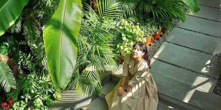 3 Unique Spots to Escape the City in Seoul: From Tropical Cafes to DIY Takoyaki Fun