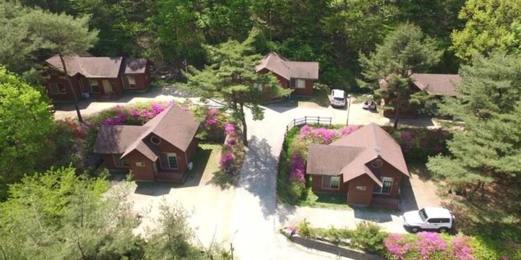 Beyond Jeju: Korea Forest Retreats They Don’t Want You to Know About