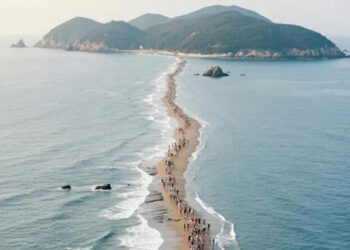 The “Moses Miracle”: Complete Guide to Jindo Sea Parting Road in South Korea