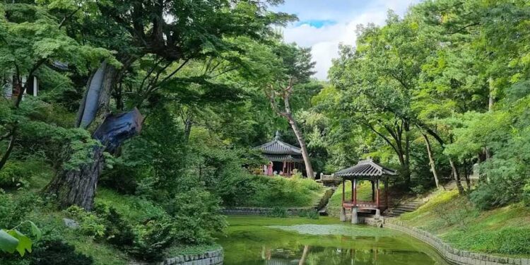 The Secret Side of Seoul: Top 10 Tourist Attractions You’ll Wish You Knew Sooner