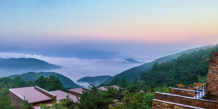 wellness resorts korea