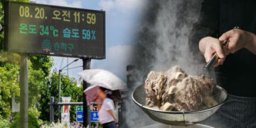 Why Korean Sweats to Stay Cool: The Soul and Science Behind the Steaming Healthy Summer Foods