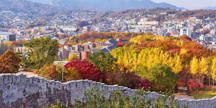 autumn foliage trails Seoul Maple trees and ginkgo leaves along Stone Wall in Seoul during autumn